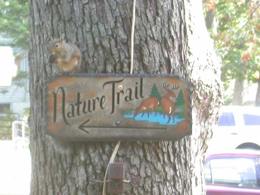Indian Trail Motel Wisconsin Dells Eksteriør bilde